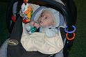 Picture 5465